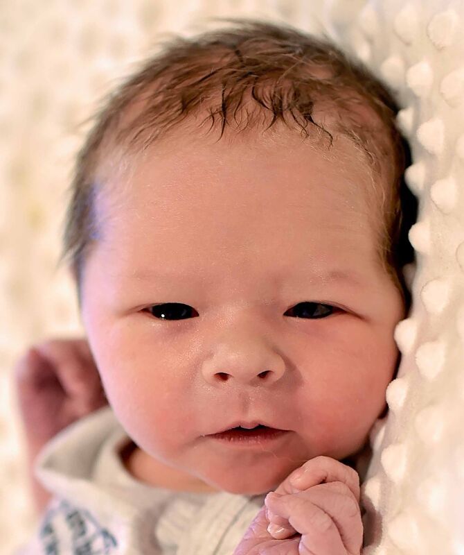 Alexander Jackson Hoel